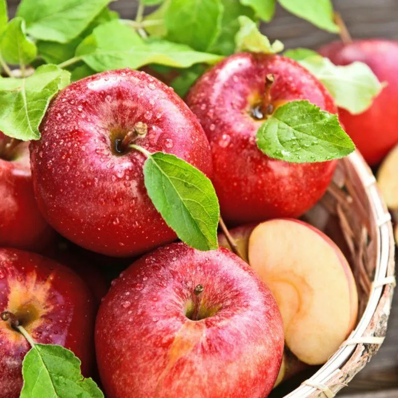 Royal Gala Apple